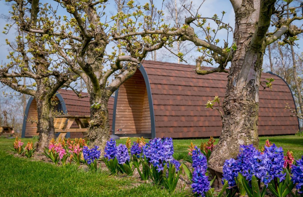 Familie Resort Molenwaard Ottoland Exteriör bild